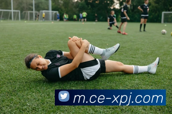 澳门新葡京娱乐平台生态图