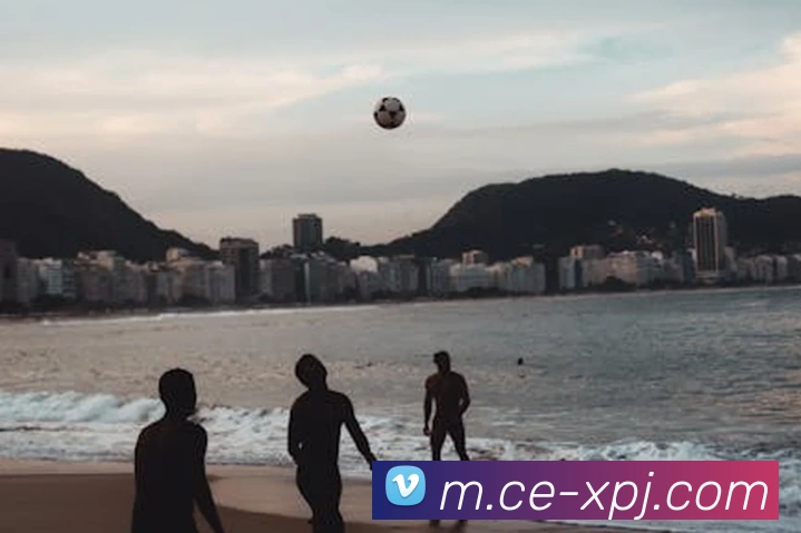 APP界面展示